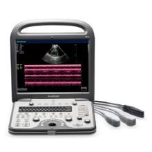 Animales veterinaria ultrasonido Color Doppler portátil Doppler veterinario